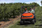 Kubota RTV